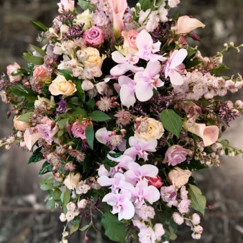 Dierbaar | Kistbedekking